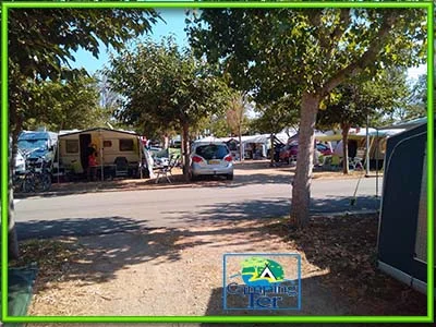 Photo du camping Ter Photo du camping Ter a L'Estartit emplacement.